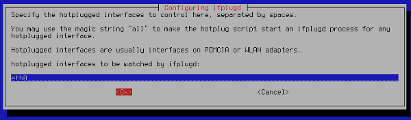 Hotplugged interfaces Hotplugged interfaces